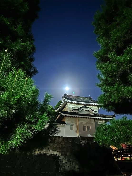 Nijo Castle Night Tours