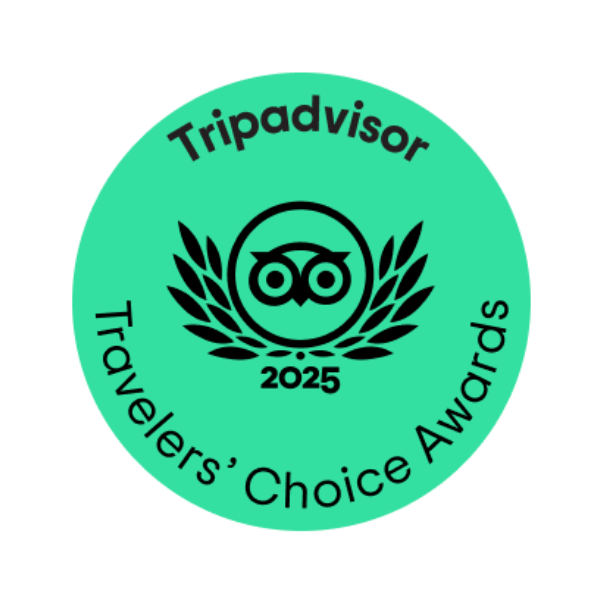 Nijo Castle Tripadvisor Tours