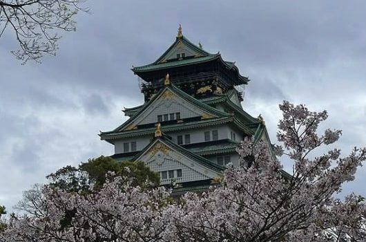 nijo-castle-blossom-tour