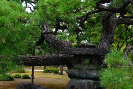 NINOMARU Garden